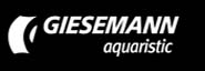 Giesemann Lichttechnik